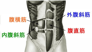 ツイストクランチのやり方 短期間でくびれgetのコツ 腹斜筋を鍛えて腹筋をバキバキに Slope スロープ