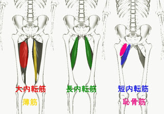 内転筋の筋トレ ストレッチメニュー 内ももに効果的な鍛え方のコツまで徹底解説 Slope スロープ