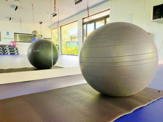 バランスボールを 一ヶ月 使用した効果 ダイエット 姿勢改善など多数の体験談を紹介 Slope スロープ