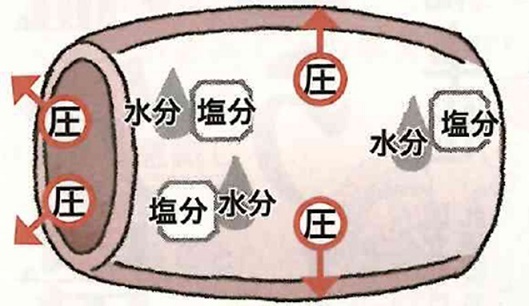 ストリエーションの意味とは カットと違う 出し方 画像集まで紹介 Slope スロープ